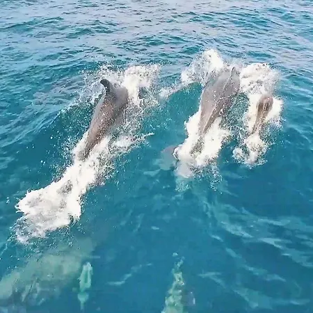 Buddha By Algarve Vacation