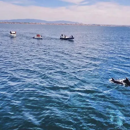 Buddha By Algarve Vacation 阿尔布费拉